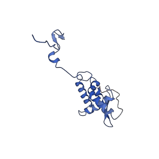 17051_8opf_Aa_v1-1
Virus-like Particle based on PVY coat protein with dC60 deletion with RNA-free helical architecture