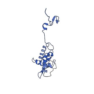 17051_8opf_Ab_v1-1
Virus-like Particle based on PVY coat protein with dC60 deletion with RNA-free helical architecture