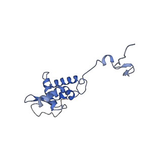 17051_8opf_Af_v1-1
Virus-like Particle based on PVY coat protein with dC60 deletion with RNA-free helical architecture