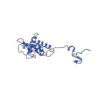 17051_8opf_Ag_v1-1
Virus-like Particle based on PVY coat protein with dC60 deletion with RNA-free helical architecture