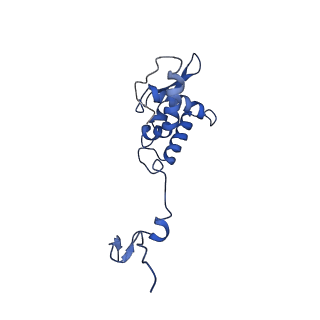17051_8opf_Ai_v1-1
Virus-like Particle based on PVY coat protein with dC60 deletion with RNA-free helical architecture