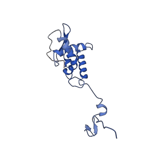 17051_8opf_Ak_v1-1
Virus-like Particle based on PVY coat protein with dC60 deletion with RNA-free helical architecture