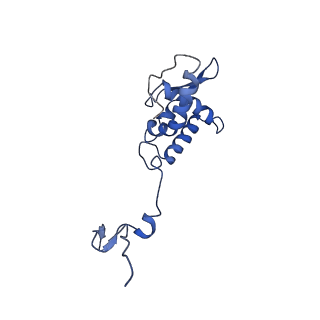 17051_8opf_Al_v1-1
Virus-like Particle based on PVY coat protein with dC60 deletion with RNA-free helical architecture