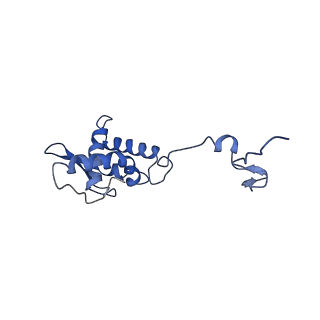17051_8opf_Am_v1-1
Virus-like Particle based on PVY coat protein with dC60 deletion with RNA-free helical architecture