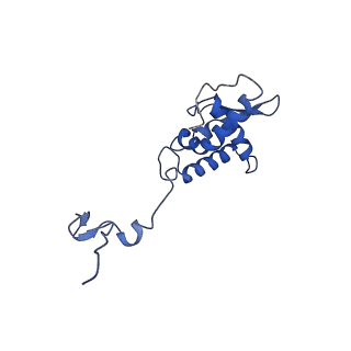 17051_8opf_Ap_v1-1
Virus-like Particle based on PVY coat protein with dC60 deletion with RNA-free helical architecture