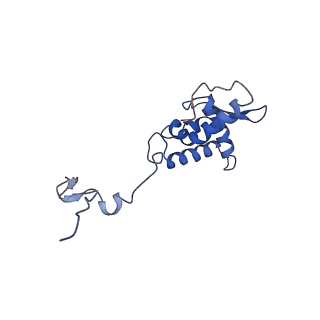 17051_8opf_Ar_v1-1
Virus-like Particle based on PVY coat protein with dC60 deletion with RNA-free helical architecture
