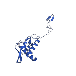 17052_8opg_Ab_v1-1
Virus-like Particle based on PVY coat protein with dC79 deletion with RNA-free helical architecture