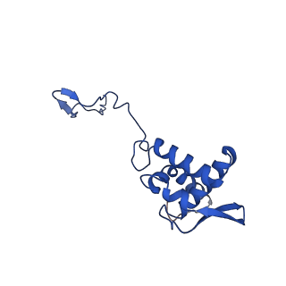 17052_8opg_Ac_v1-1
Virus-like Particle based on PVY coat protein with dC79 deletion with RNA-free helical architecture
