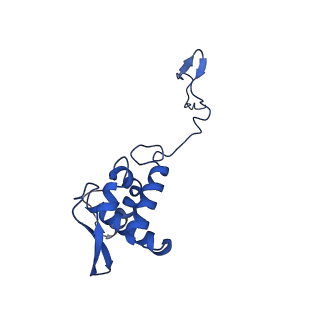 17052_8opg_Ae_v1-1
Virus-like Particle based on PVY coat protein with dC79 deletion with RNA-free helical architecture