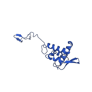 17052_8opg_Af_v1-1
Virus-like Particle based on PVY coat protein with dC79 deletion with RNA-free helical architecture