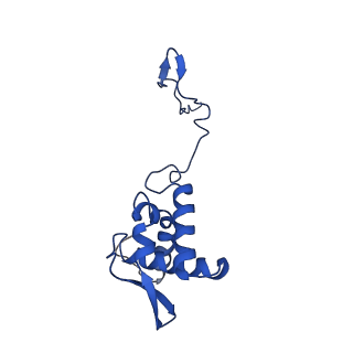 17052_8opg_Ag_v1-1
Virus-like Particle based on PVY coat protein with dC79 deletion with RNA-free helical architecture