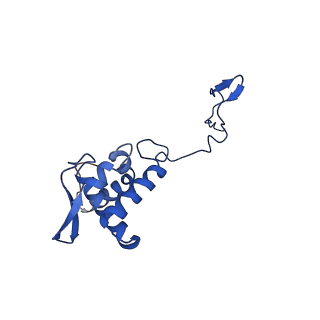 17052_8opg_Ah_v1-1
Virus-like Particle based on PVY coat protein with dC79 deletion with RNA-free helical architecture
