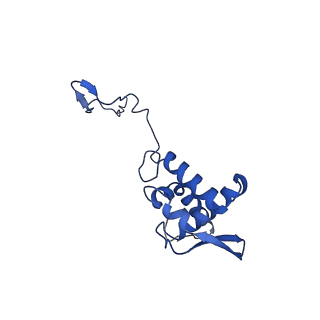 17052_8opg_Ai_v1-1
Virus-like Particle based on PVY coat protein with dC79 deletion with RNA-free helical architecture