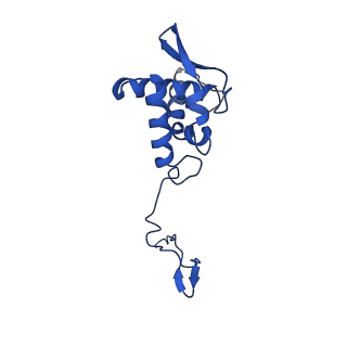 17052_8opg_Ak_v1-1
Virus-like Particle based on PVY coat protein with dC79 deletion with RNA-free helical architecture