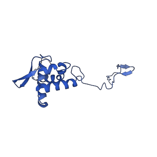 17052_8opg_Al_v1-1
Virus-like Particle based on PVY coat protein with dC79 deletion with RNA-free helical architecture