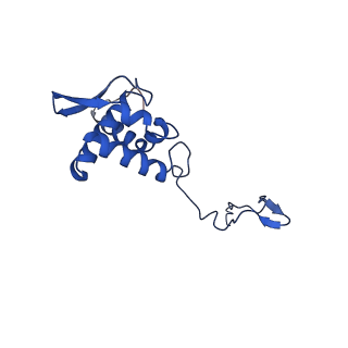 17052_8opg_Am_v1-1
Virus-like Particle based on PVY coat protein with dC79 deletion with RNA-free helical architecture