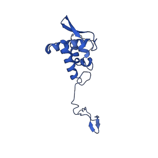 17052_8opg_An_v1-1
Virus-like Particle based on PVY coat protein with dC79 deletion with RNA-free helical architecture