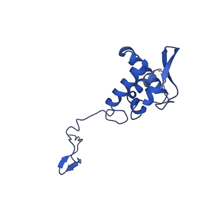 17052_8opg_Ap_v1-1
Virus-like Particle based on PVY coat protein with dC79 deletion with RNA-free helical architecture