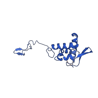 17052_8opg_Aq_v1-1
Virus-like Particle based on PVY coat protein with dC79 deletion with RNA-free helical architecture