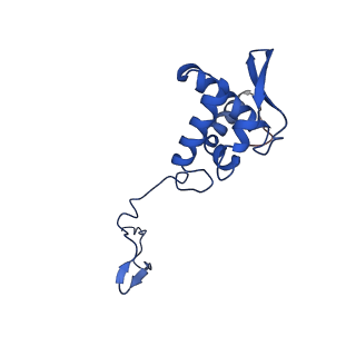 17052_8opg_Ar_v1-1
Virus-like Particle based on PVY coat protein with dC79 deletion with RNA-free helical architecture