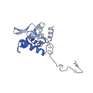 17053_8oph_Ac_v1-1
Head-to-tail double ring assembly from truncated PVY coat protein