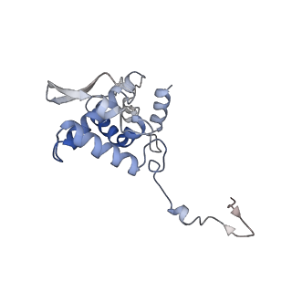 17053_8oph_Ad_v1-1
Head-to-tail double ring assembly from truncated PVY coat protein