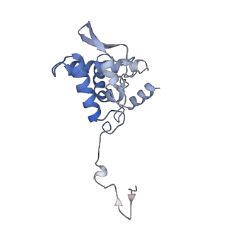 17053_8oph_Ae_v1-1
Head-to-tail double ring assembly from truncated PVY coat protein