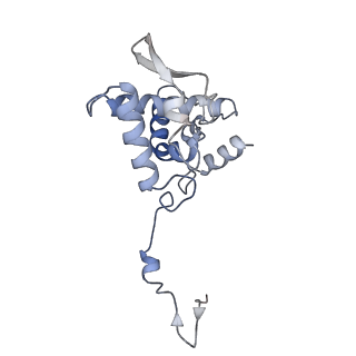 17053_8oph_Af_v1-1
Head-to-tail double ring assembly from truncated PVY coat protein