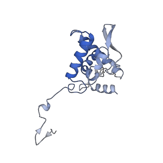 17053_8oph_Ag_v1-1
Head-to-tail double ring assembly from truncated PVY coat protein