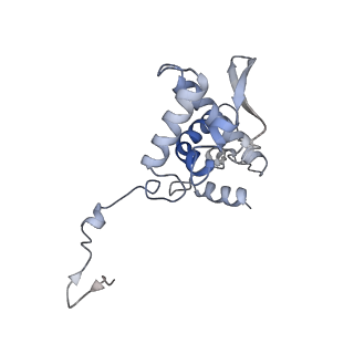 17053_8oph_Ah_v1-1
Head-to-tail double ring assembly from truncated PVY coat protein