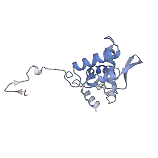 17053_8oph_Ai_v1-1
Head-to-tail double ring assembly from truncated PVY coat protein