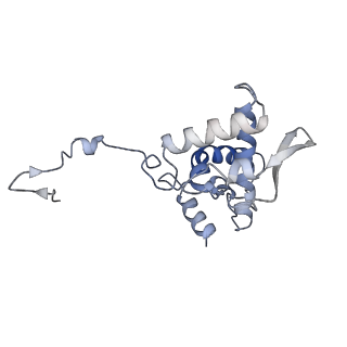17053_8oph_Aj_v1-1
Head-to-tail double ring assembly from truncated PVY coat protein