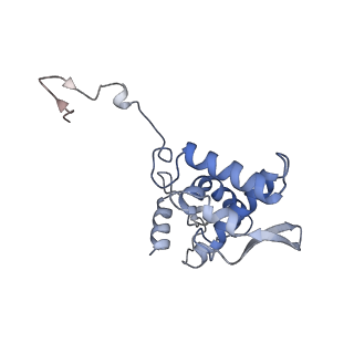 17053_8oph_Ak_v1-1
Head-to-tail double ring assembly from truncated PVY coat protein
