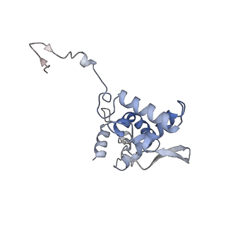 17053_8oph_Al_v1-1
Head-to-tail double ring assembly from truncated PVY coat protein