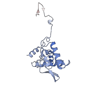 17053_8oph_Am_v1-1
Head-to-tail double ring assembly from truncated PVY coat protein