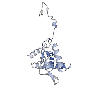 17053_8oph_An_v1-1
Head-to-tail double ring assembly from truncated PVY coat protein