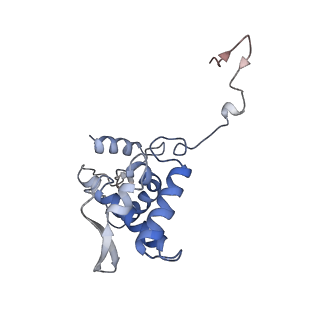 17053_8oph_Ao_v1-1
Head-to-tail double ring assembly from truncated PVY coat protein