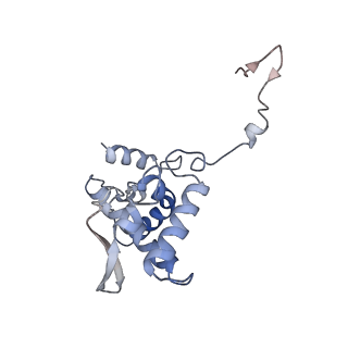 17053_8oph_Ap_v1-1
Head-to-tail double ring assembly from truncated PVY coat protein