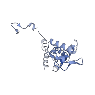 17062_8opj_Ad_v1-1
Global refinement of cubic assembly from truncated PVY coat protein with K176C mutation