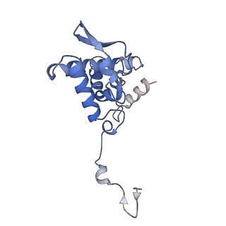 17062_8opj_Af_v1-1
Global refinement of cubic assembly from truncated PVY coat protein with K176C mutation