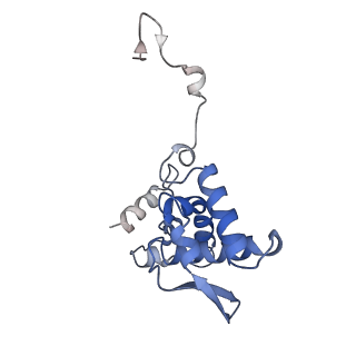 17062_8opj_Ah_v1-1
Global refinement of cubic assembly from truncated PVY coat protein with K176C mutation