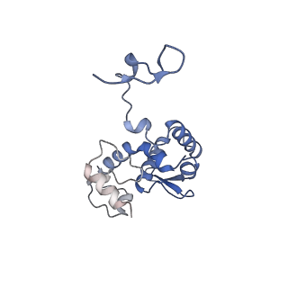 17062_8opj_Ai_v1-1
Global refinement of cubic assembly from truncated PVY coat protein with K176C mutation