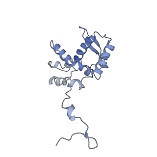 17062_8opj_Al_v1-1
Global refinement of cubic assembly from truncated PVY coat protein with K176C mutation