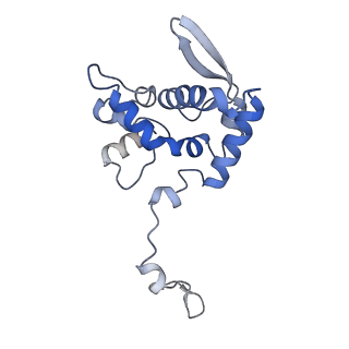 17062_8opj_Am_v1-1
Global refinement of cubic assembly from truncated PVY coat protein with K176C mutation