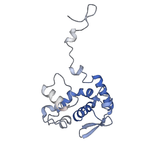 17062_8opj_An_v1-1
Global refinement of cubic assembly from truncated PVY coat protein with K176C mutation