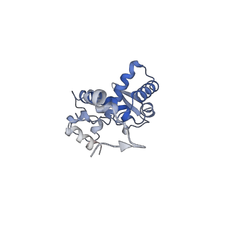 17062_8opj_Ao_v1-1
Global refinement of cubic assembly from truncated PVY coat protein with K176C mutation