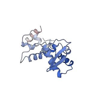 17062_8opj_Ap_v1-1
Global refinement of cubic assembly from truncated PVY coat protein with K176C mutation