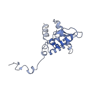 17062_8opj_Ar_v1-1
Global refinement of cubic assembly from truncated PVY coat protein with K176C mutation