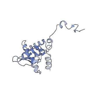 17062_8opj_As_v1-1
Global refinement of cubic assembly from truncated PVY coat protein with K176C mutation