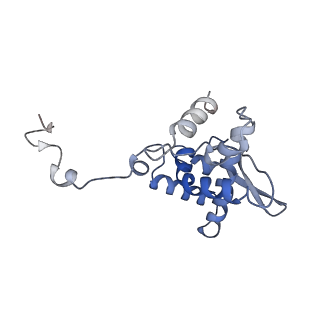 17062_8opj_Av_v1-1
Global refinement of cubic assembly from truncated PVY coat protein with K176C mutation